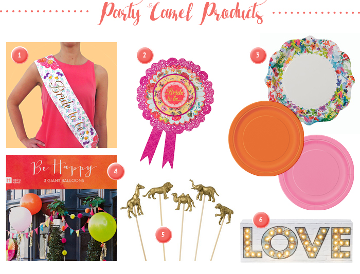 Party Supplies Dubai Party Camel